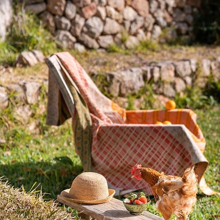 Agroturismo Son Viscos Valldemossa  Ngoại thất bức ảnh