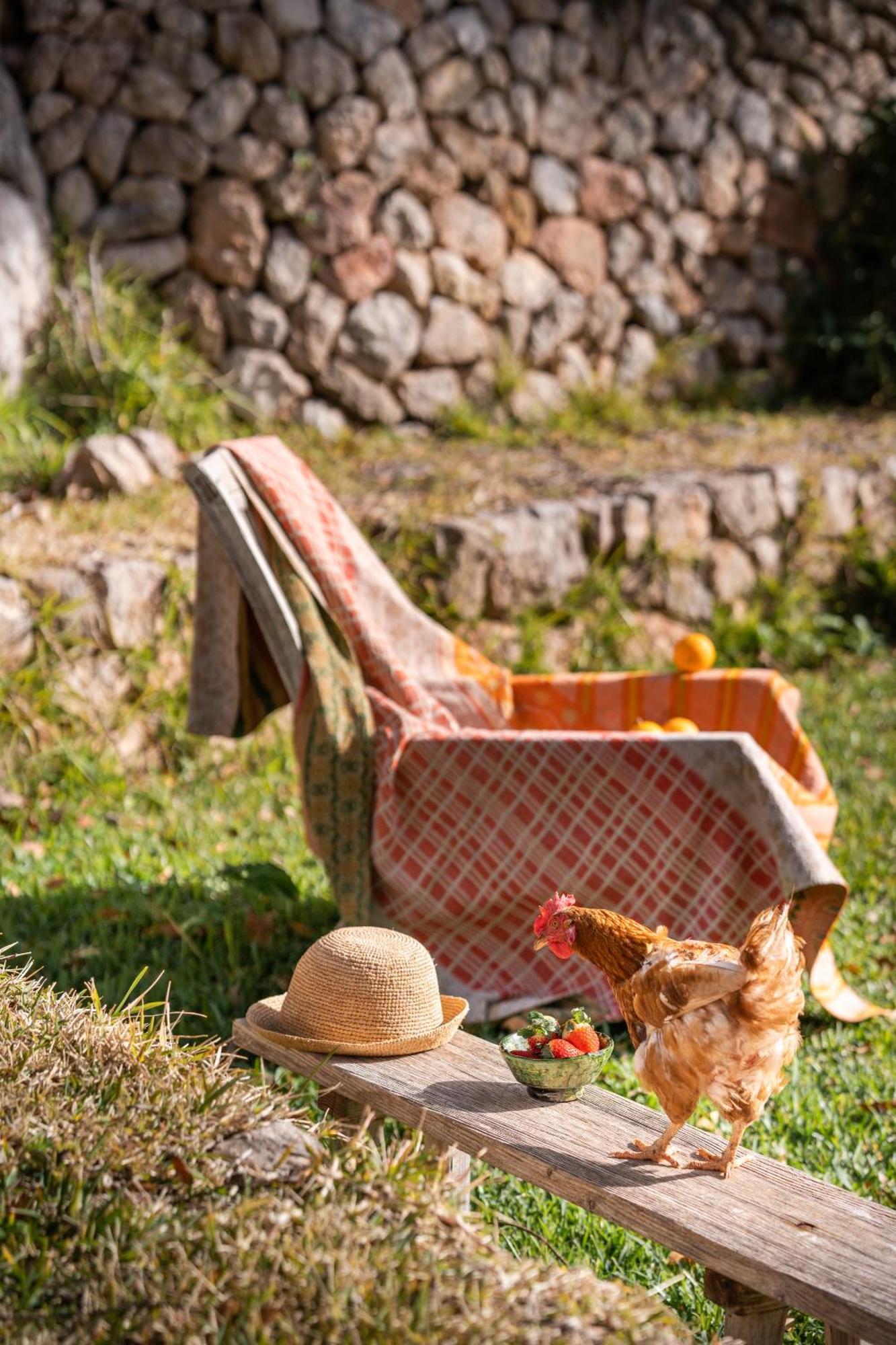 Agroturismo Son Viscos Valldemossa  Ngoại thất bức ảnh