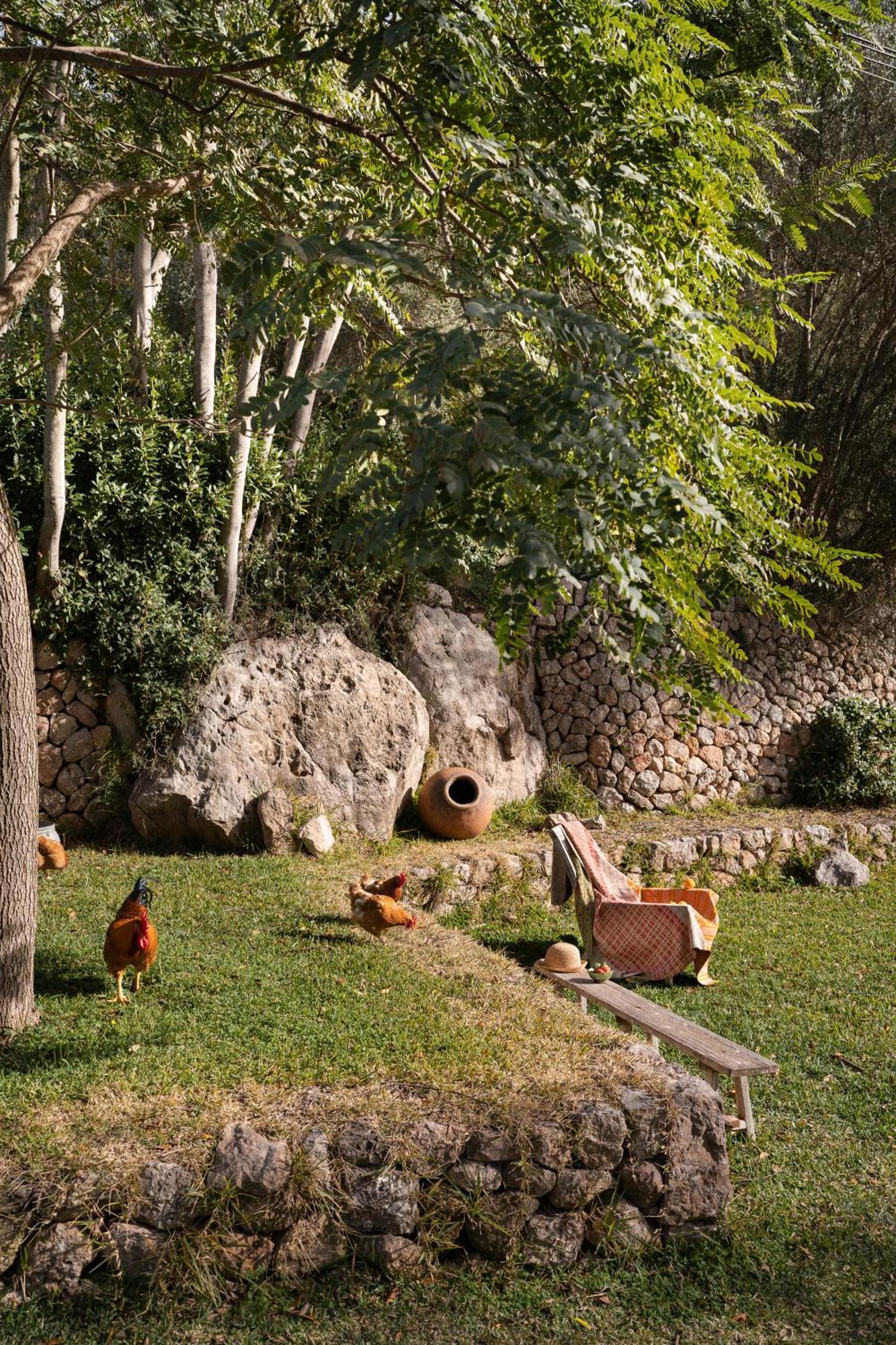 Agroturismo Son Viscos Valldemossa  Ngoại thất bức ảnh